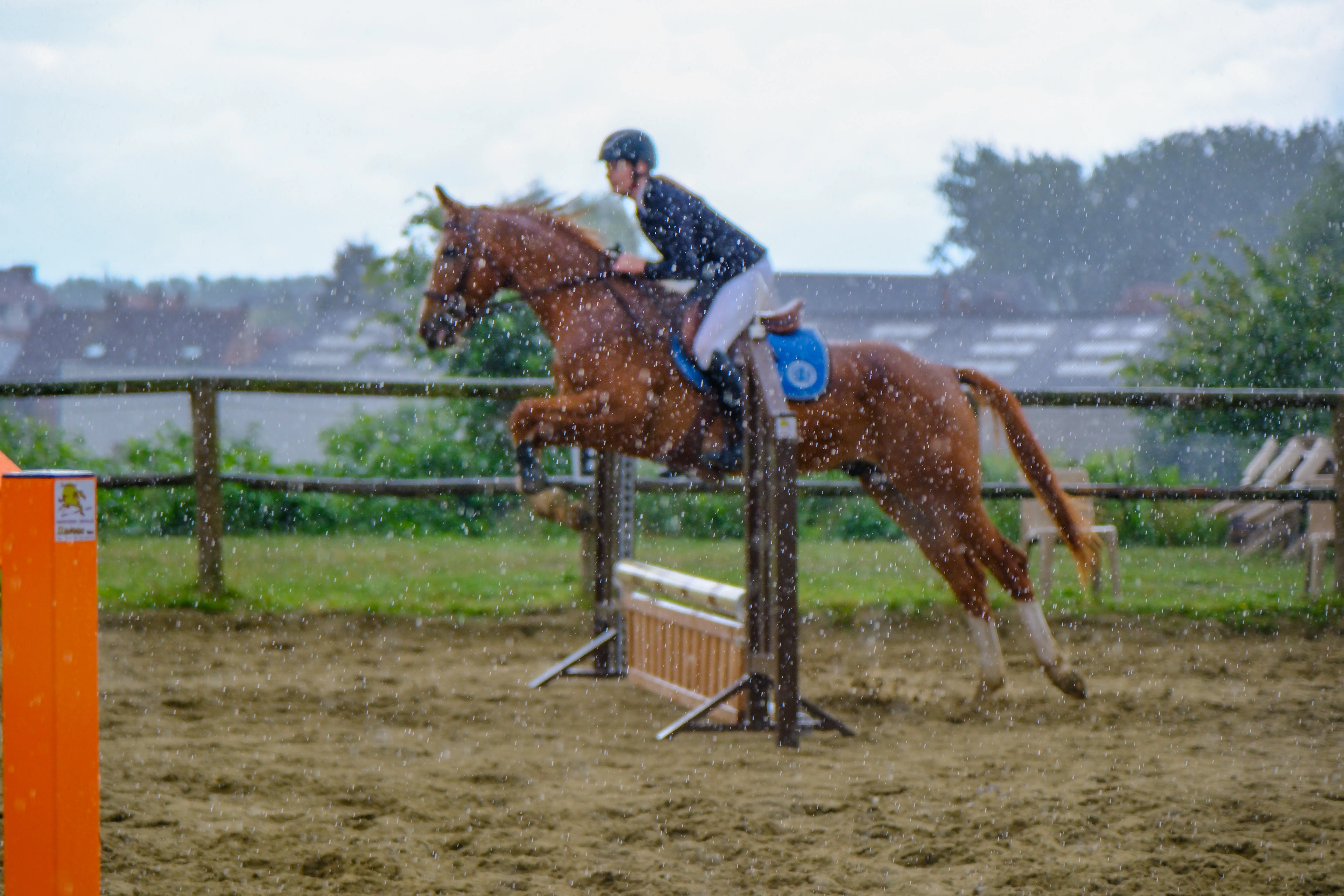 Photo Equitation