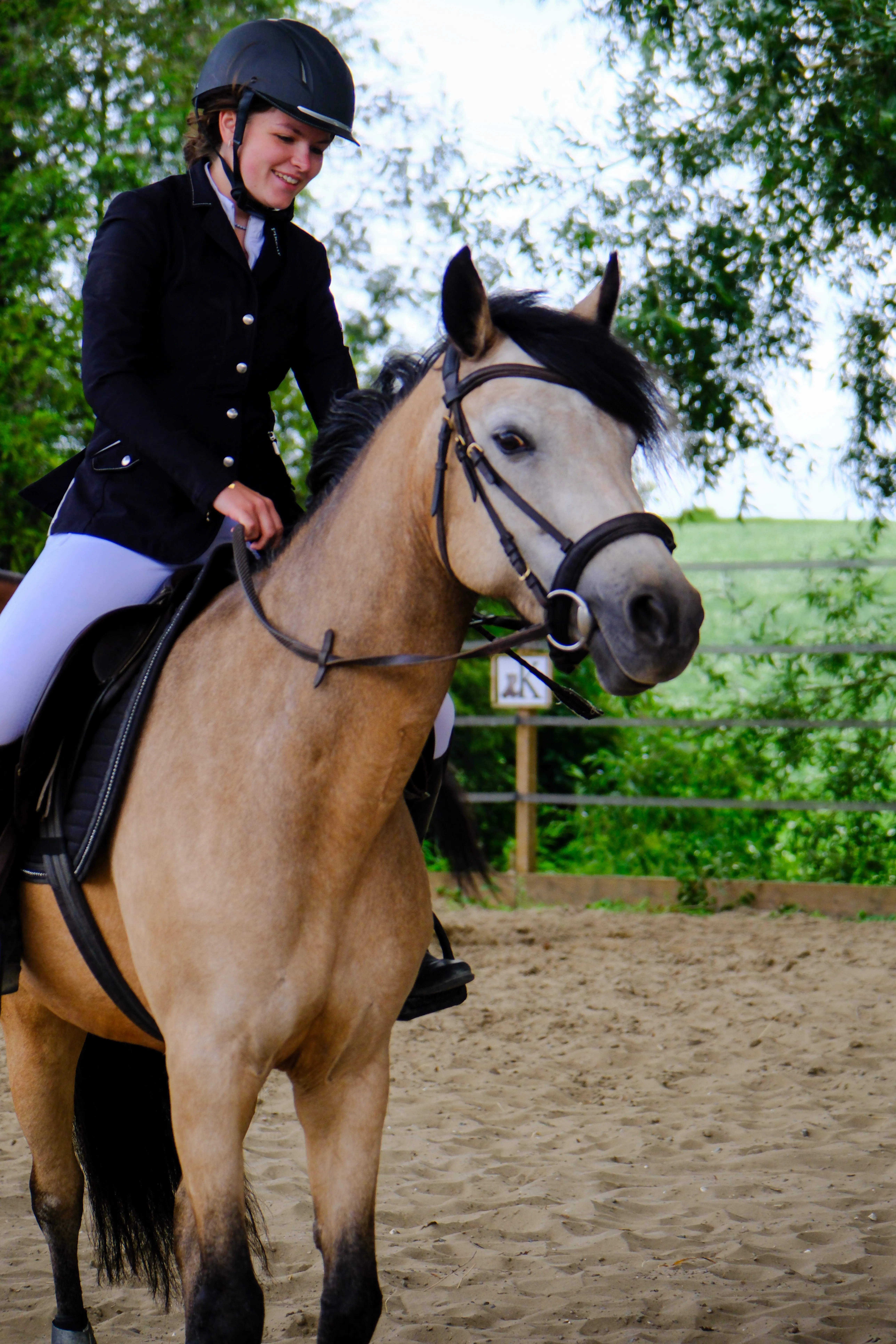 Photo Equitation