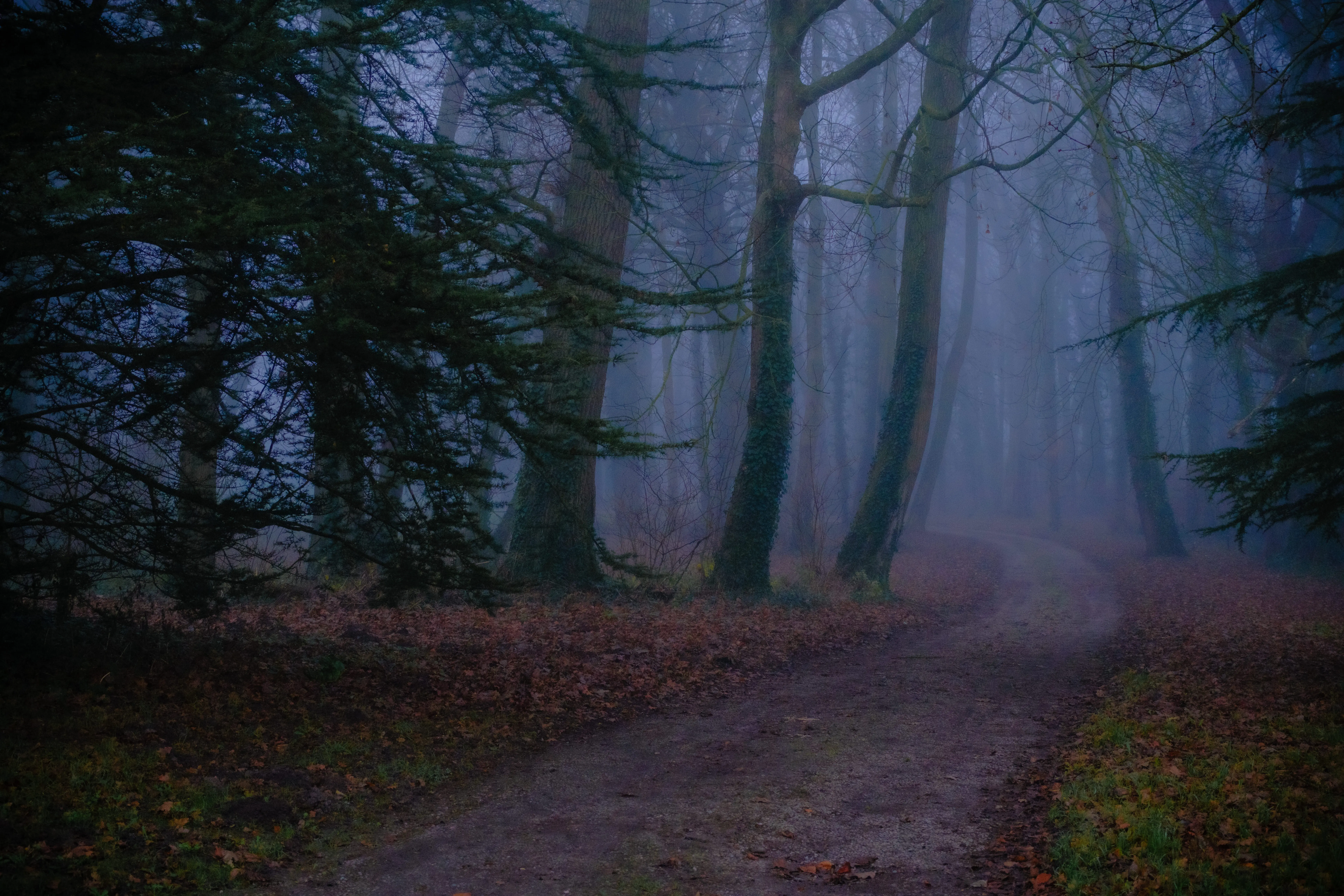 Photographie